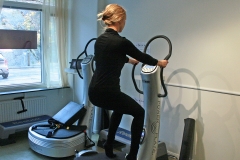 Viberoom_bild2